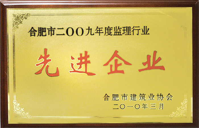06-合肥市监理行业先进企业.jpg